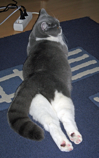 盐湖城与费城的终极对决,抢七夜的永恒记忆