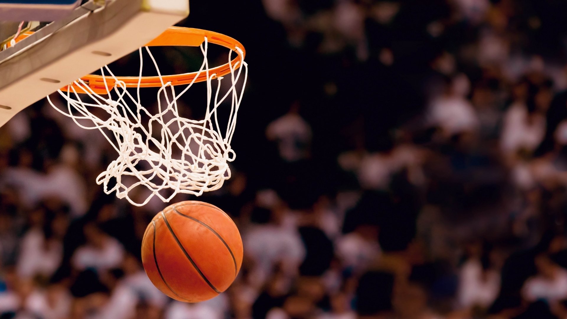 熊猫体育app-决胜盘的一击，当郑钦文撕裂斯瓦泰克的防线，鲁德在暗夜中破发命运的枷锁